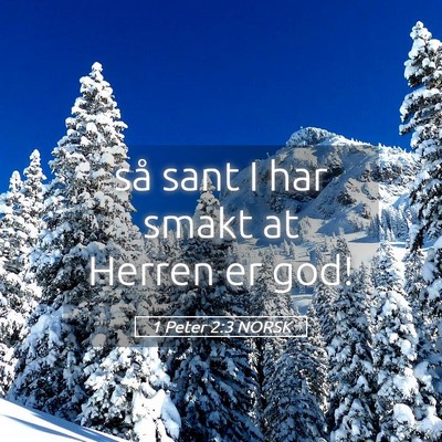 Picture 05 - 1 Peter 2:3 NORSK - så sant I har smakt at Herren er - Bible Verse Picture