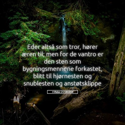 Picture 05 - 1 Peter 2:7 NORSK - Eder altså som tror, hører æren til; men for - Bible Verse Picture
