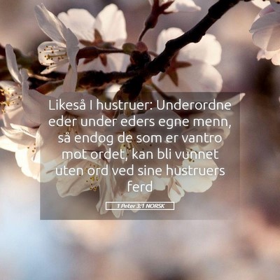 Picture 05 - 1 Peter 3:1 NORSK - Likeså I hustruer: Underordne eder under eders - Bible Verse Picture