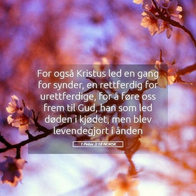 Picture 05 - 1 Peter 3:18 NORSK - For også Kristus led en gang for synder, en - Bible Verse Picture