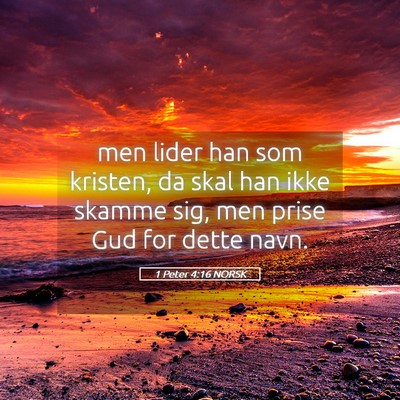 Picture 05 - 1 Peter 4:16 NORSK - men lider han som kristen, da skal han ikke - Bible Verse Picture