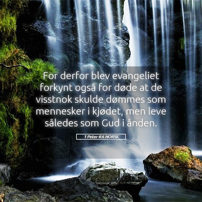Picture 05 - 1 Peter 4:6 NORSK - For derfor blev evangeliet forkynt også for - Bible Verse Picture