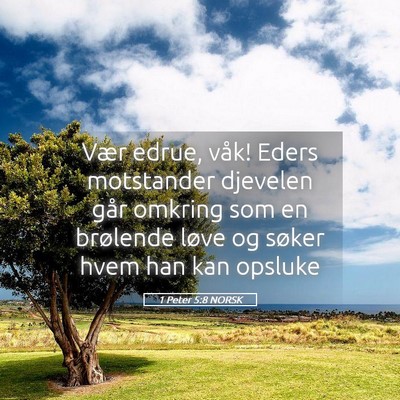 Picture 05 - 1 Peter 5:8 NORSK - Vær edrue, våk! Eders motstander djevelen går - Bible Verse Picture