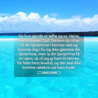 Picture 05 - 1 Samuel 1:11 NORSK - Og hun gjorde et løfte og sa: Herre, - Bible Verse Picture