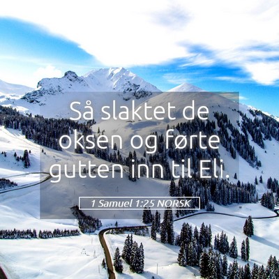 Picture 05 - 1 Samuel 1:25 NORSK - Så slaktet de oksen og førte gutten inn til - Bible Verse Picture