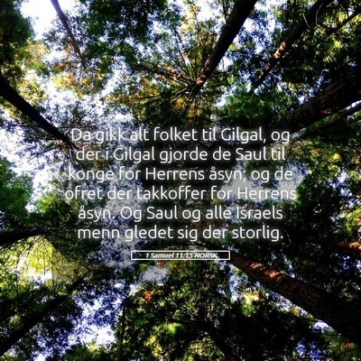Picture 05 - 1 Samuel 11:15 NORSK - Da gikk alt folket til Gilgal, og der i Gilgal - Bible Verse Picture