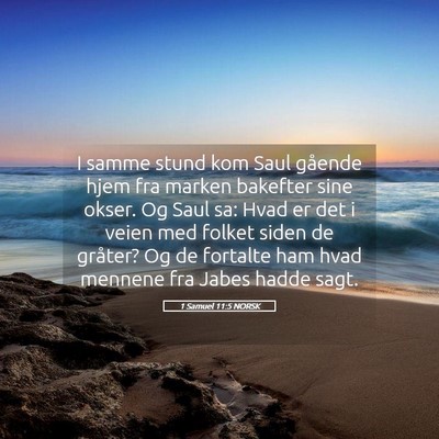 Picture 05 - 1 Samuel 11:5 NORSK - I samme stund kom Saul gående hjem fra marken - Bible Verse Picture
