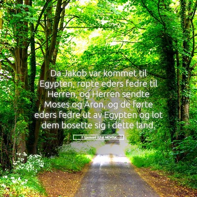 Picture 05 - 1 Samuel 12:8 NORSK - Da Jakob var kommet til Egypten, ropte eders - Bible Verse Picture