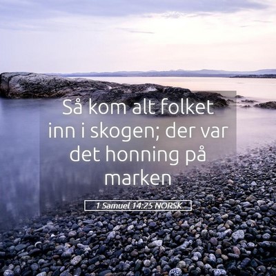 Picture 05 - 1 Samuel 14:25 NORSK - Så kom alt folket inn i skogen; der var det - Bible Verse Picture