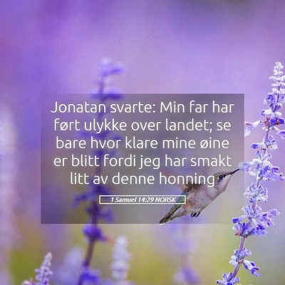 Picture 05 - 1 Samuel 14:29 NORSK - Jonatan svarte: Min far har ført ulykke over - Bible Verse Picture
