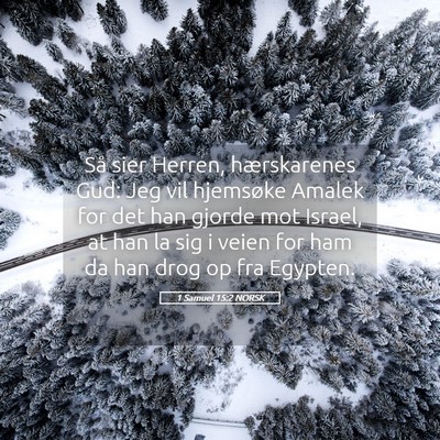 Picture 05 - 1 Samuel 15:2 NORSK - Så sier Herren, hærskarenes Gud: Jeg vil - Bible Verse Picture