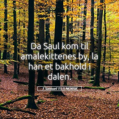 Picture 05 - 1 Samuel 15:5 NORSK - Da Saul kom til amalekittenes by, la han et - Bible Verse Picture