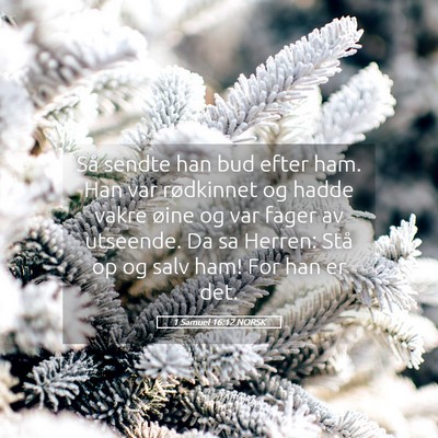 Picture 05 - 1 Samuel 16:12 NORSK - Så sendte han bud efter ham. Han var rødkinnet - Bible Verse Picture