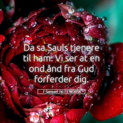 Picture 05 - 1 Samuel 16:15 NORSK - Da sa Sauls tjenere til ham: Vi ser at en ond - Bible Verse Picture