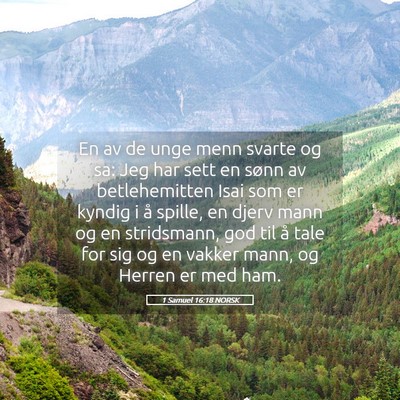 Picture 05 - 1 Samuel 16:18 NORSK - En av de unge menn svarte og sa: Jeg har sett en - Bible Verse Picture