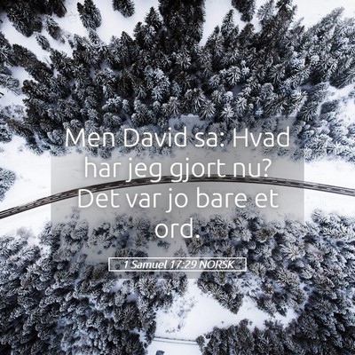 Picture 05 - 1 Samuel 17:29 NORSK - Men David sa: Hvad har jeg gjort nu? Det var jo - Bible Verse Picture
