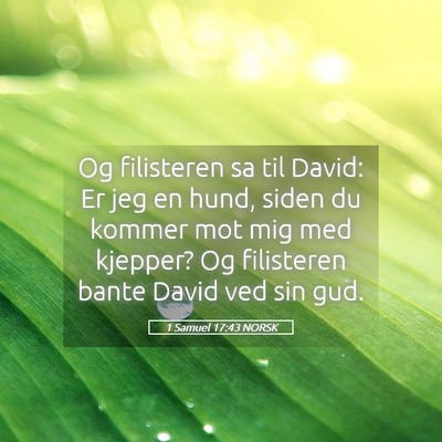 Picture 05 - 1 Samuel 17:43 NORSK - Og filisteren sa til David: Er jeg en hund, siden - Bible Verse Picture