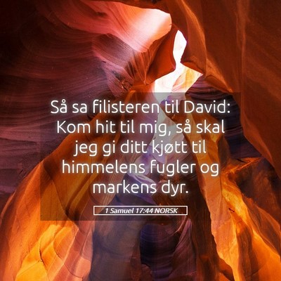 Picture 05 - 1 Samuel 17:44 NORSK - Så sa filisteren til David: Kom hit til mig, så - Bible Verse Picture