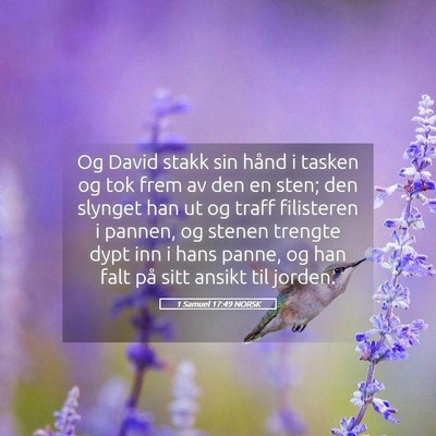 Picture 05 - 1 Samuel 17:49 NORSK - Og David stakk sin hånd i tasken og tok frem av - Bible Verse Picture