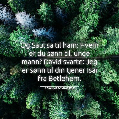 Picture 05 - 1 Samuel 17:58 NORSK - Og Saul sa til ham: Hvem er du sønn til, unge - Bible Verse Picture