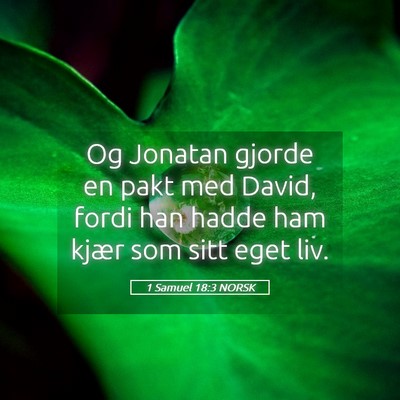 Picture 05 - 1 Samuel 18:3 NORSK - Og Jonatan gjorde en pakt med David, fordi han - Bible Verse Picture