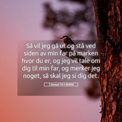 Picture 05 - 1 Samuel 19:3 NORSK - Så vil jeg gå ut og stå ved siden av min far - Bible Verse Picture