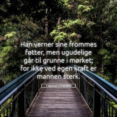 Picture 05 - 1 Samuel 2:9 NORSK - Han verner sine frommes føtter, men ugudelige - Bible Verse Picture