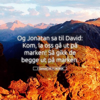 Picture 05 - 1 Samuel 20:11 NORSK - Og Jonatan sa til David: Kom, la oss gå ut på - Bible Verse Picture