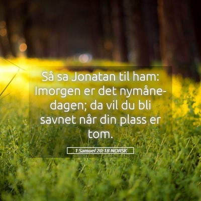 Picture 05 - 1 Samuel 20:18 NORSK - Så sa Jonatan til ham: Imorgen er det - Bible Verse Picture