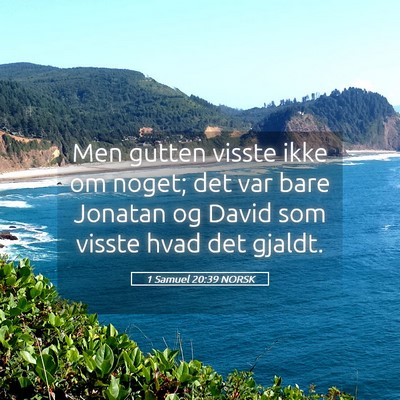 Picture 05 - 1 Samuel 20:39 NORSK - Men gutten visste ikke om noget; det var bare - Bible Verse Picture