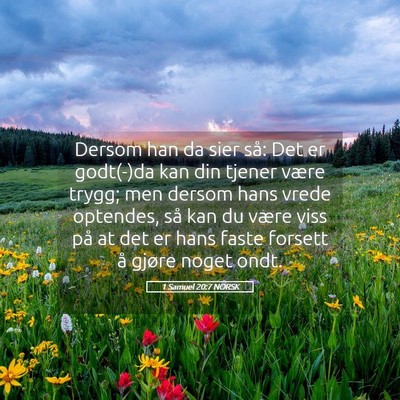 Picture 05 - 1 Samuel 20:7 NORSK - Dersom han da sier så: Det er godt(-)da kan din - Bible Verse Picture
