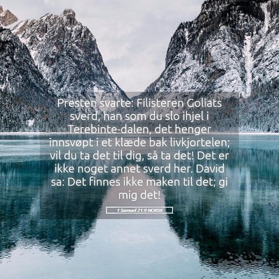 Picture 05 - 1 Samuel 21:9 NORSK - Presten svarte: Filisteren Goliats sverd, han som - Bible Verse Picture
