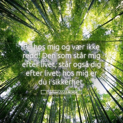 Picture 05 - 1 Samuel 22:23 NORSK - Bli hos mig og vær ikke redd! Den som står mig - Bible Verse Picture