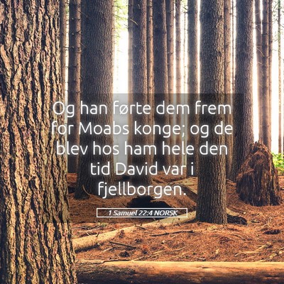 Picture 05 - 1 Samuel 22:4 NORSK - Og han førte dem frem for Moabs konge; og de - Bible Verse Picture