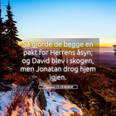 Picture 05 - 1 Samuel 23:18 NORSK - Så gjorde de begge en pakt for Herrens åsyn; og - Bible Verse Picture