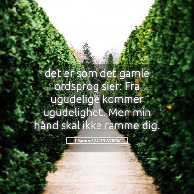 Picture 05 - 1 Samuel 24:13 NORSK - det er som det gamle ordsprog sier: Fra ugudelige - Bible Verse Picture