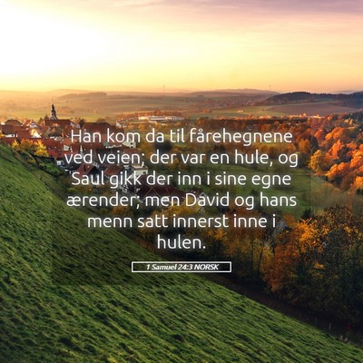 Picture 05 - 1 Samuel 24:3 NORSK - Han kom da til fårehegnene ved veien; der var en - Bible Verse Picture