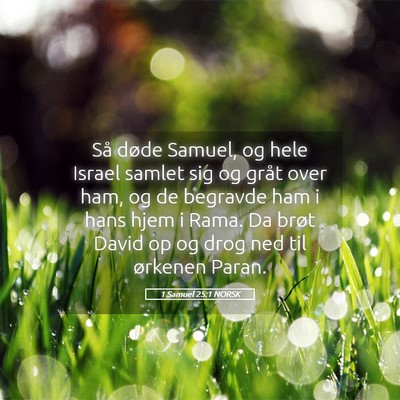Picture 05 - 1 Samuel 25:1 NORSK - Så døde Samuel, og hele Israel samlet sig og - Bible Verse Picture