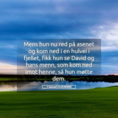 Picture 05 - 1 Samuel 25:20 NORSK - Mens hun nu red på asenet og kom ned i en hulvei - Bible Verse Picture