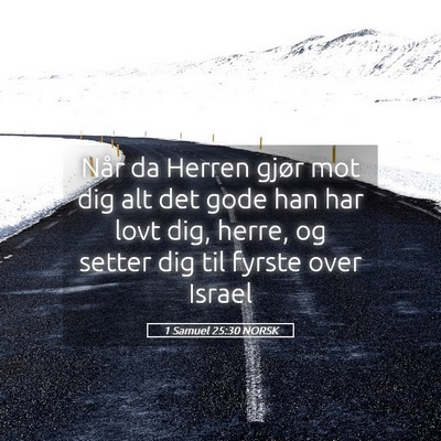 Picture 05 - 1 Samuel 25:30 NORSK - Når da Herren gjør mot dig alt det gode han har - Bible Verse Picture