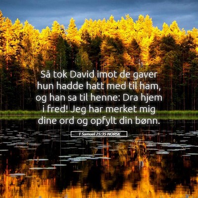 Picture 05 - 1 Samuel 25:35 NORSK - Så tok David imot de gaver hun hadde hatt med - Bible Verse Picture