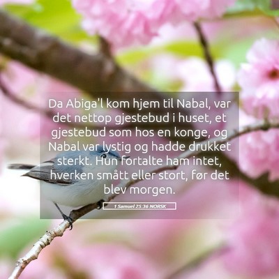 Picture 05 - 1 Samuel 25:36 NORSK - Da Abiga'l kom hjem til Nabal, var det nettop - Bible Verse Picture