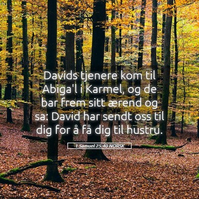 Picture 05 - 1 Samuel 25:40 NORSK - Davids tjenere kom til Abiga'l i Karmel, og de - Bible Verse Picture