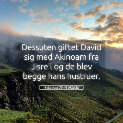 Picture 05 - 1 Samuel 25:43 NORSK - Dessuten giftet David sig med Akinoam fra Jisre'l - Bible Verse Picture