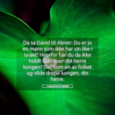 Picture 05 - 1 Samuel 26:15 NORSK - Da sa David til Abner: Du er jo en mann som ikke - Bible Verse Picture