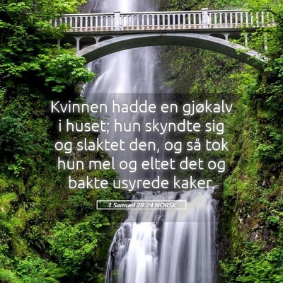 Picture 05 - 1 Samuel 28:24 NORSK - Kvinnen hadde en gjøkalv i huset; hun skyndte - Bible Verse Picture