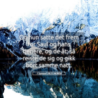 Picture 05 - 1 Samuel 28:25 NORSK - Og hun satte det frem for Saul og hans tjenere, - Bible Verse Picture