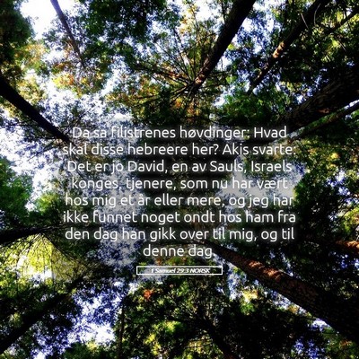 Picture 05 - 1 Samuel 29:3 NORSK - Da sa filistrenes høvdinger: Hvad skal disse - Bible Verse Picture