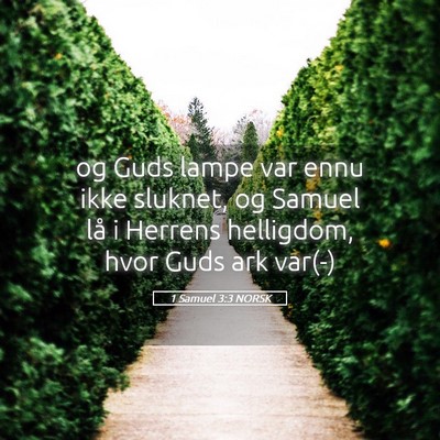 Picture 05 - 1 Samuel 3:3 NORSK - og Guds lampe var ennu ikke sluknet, og Samuel - Bible Verse Picture