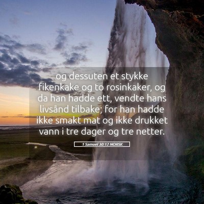 Picture 05 - 1 Samuel 30:12 NORSK - og dessuten et stykke fikenkake og to rosinkaker, - Bible Verse Picture